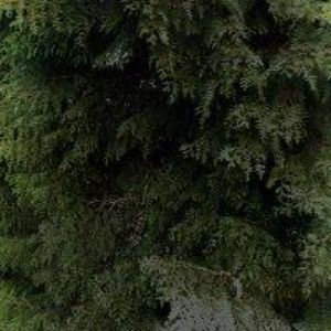 obrazek: avatar KAVÁRNA A RESTAURACE AKROPOLI