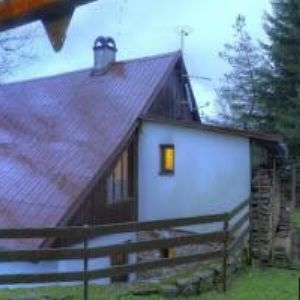 obrazek: avatar ROUBENKA U BARTOŠOVICKÉHO POTOKA