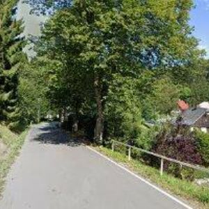 obrazek: avatar UBYTOVÁNÍ U MAMUTA