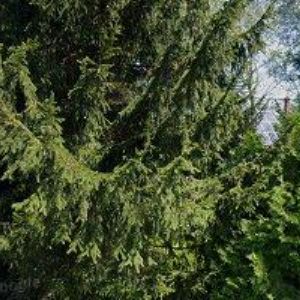 obrazek: avatar PECULIUM MEZONETY ORLICKÉ ZÁHOŘÍ s.r.o.