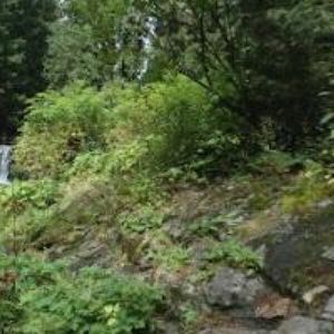 obrazek: avatar BUREŠ JIŘÍ