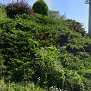 obrazek: avatar HOSTINEC NA KRÁLÍKU