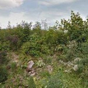 obrazek: avatar PENZION ADRŠPACH