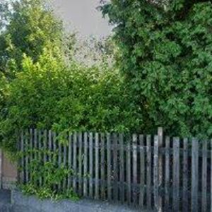 obrazek: avatar SVATÝ LUBOMÍR Ing.