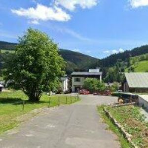 obrazek: avatar APARTMÁNY BERGER