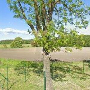 obrazek: avatar PENZION ROZMARÝNKA s.r.o.