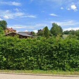 obrazek: avatar PENZION U DALIBORA