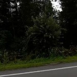 obrazek: avatar UBYTOVÁNÍ U KREJČÍCH