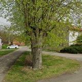 CHALUPA U ZVONÍČKŮ