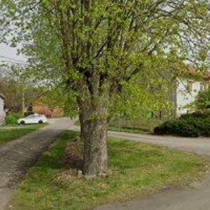 obrazek: avatar CHALUPA U ZVONÍČKŮ