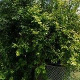 REKREAČNÍ STŘEDISKO ŽELIVKA