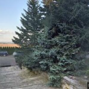 obrazek: avatar TADEÁŠOVY DOMKY