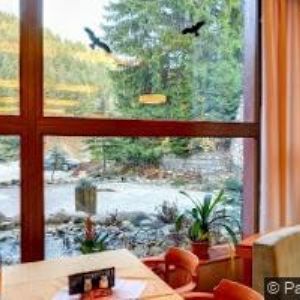 obrazek: avatar PENZION KUKAČKA