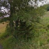 BÍLÁ LABUŤ PENZION