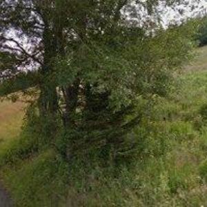 obrazek: avatar BÍLÁ LABUŤ PENZION