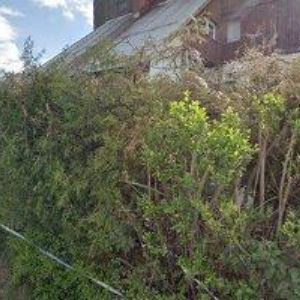 obrazek: avatar APARTMENTS MAXI