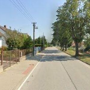 obrazek: avatar ŠINÁGLOVÁ OLGA