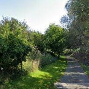 obrazek: avatar VILKA U LINKŮ