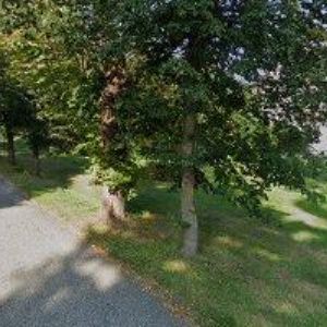 obrazek: avatar PENZION-MOTEL MLADĚJOV