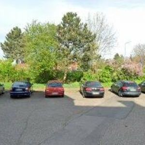 obrazek: avatar SALVADOR BAR