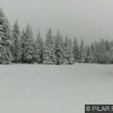 KIOSEK U STARÉ LANOVKY