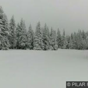 obrazek: avatar KIOSEK U STARÉ LANOVKY