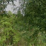 WELLNESS PENZION BALNIKA