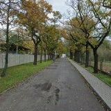 SLUŽBY MĚSTA POSTOLOPRTY , s.r.o.