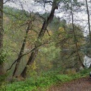 obrazek: avatar RESTAURACE NA RYBNÍČKU