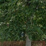 SPORTLIFE CENTRUM s.r.o.