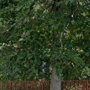 obrazek: avatar SPORTLIFE CENTRUM s.r.o.