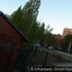 obrazek: avatar STRIKELAND