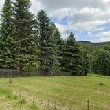 PRÁZDNINOVÝ DŮM FOREST