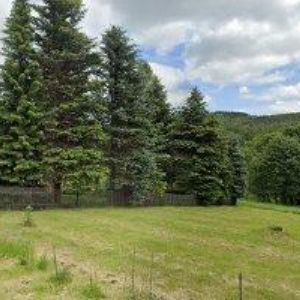 obrazek: avatar PRÁZDNINOVÝ DŮM FOREST