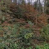 REKREAČNÍ CHALUPA V JANOVĚ