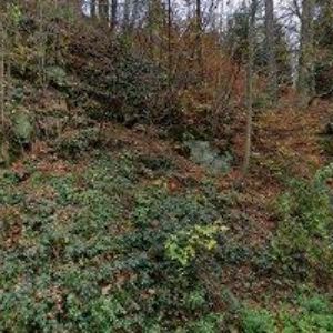 obrazek: avatar REKREAČNÍ CHALUPA V JANOVĚ