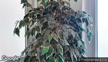 blog-img