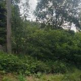 SALMOV-UBYTOVÁNÍ V ČESKÉM ŠVÝCARSKU