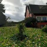 JV RANCH ČESKÉ ŠVÝCARSKO