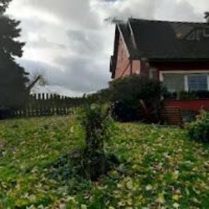 obrazek: avatar JV RANCH ČESKÉ ŠVÝCARSKO