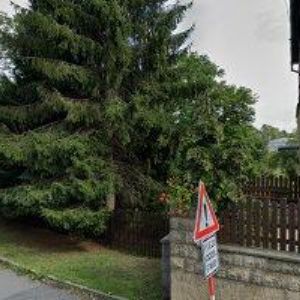 obrazek: avatar PENSION U RUDOLFA III