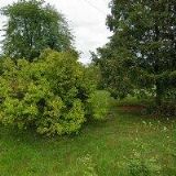 TJ KLUB ČESKÝCH TURISTŮ Česká Lípa