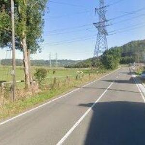 obrazek: avatar PENZION TLUSTÁ DÁMA