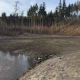 MYSLIVECKÁ RESTAURACE KOLIBA