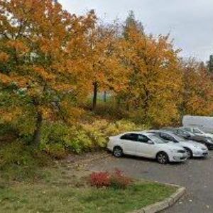 obrazek: avatar MILPA , spol. s r.o.