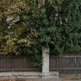 PENZION SPORT CHOMUTOV