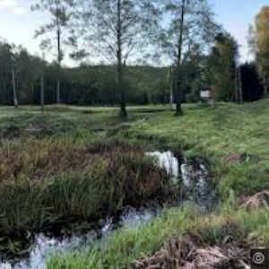 obrazek: avatar HOTEL OSTROV