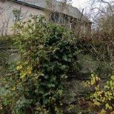 HOTEL U ZELENÉHO STROMU