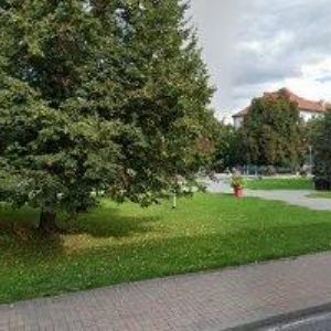 obrazek: avatar POD PALUBOU