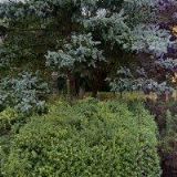 PENZION U ŠILHÁNKŮ